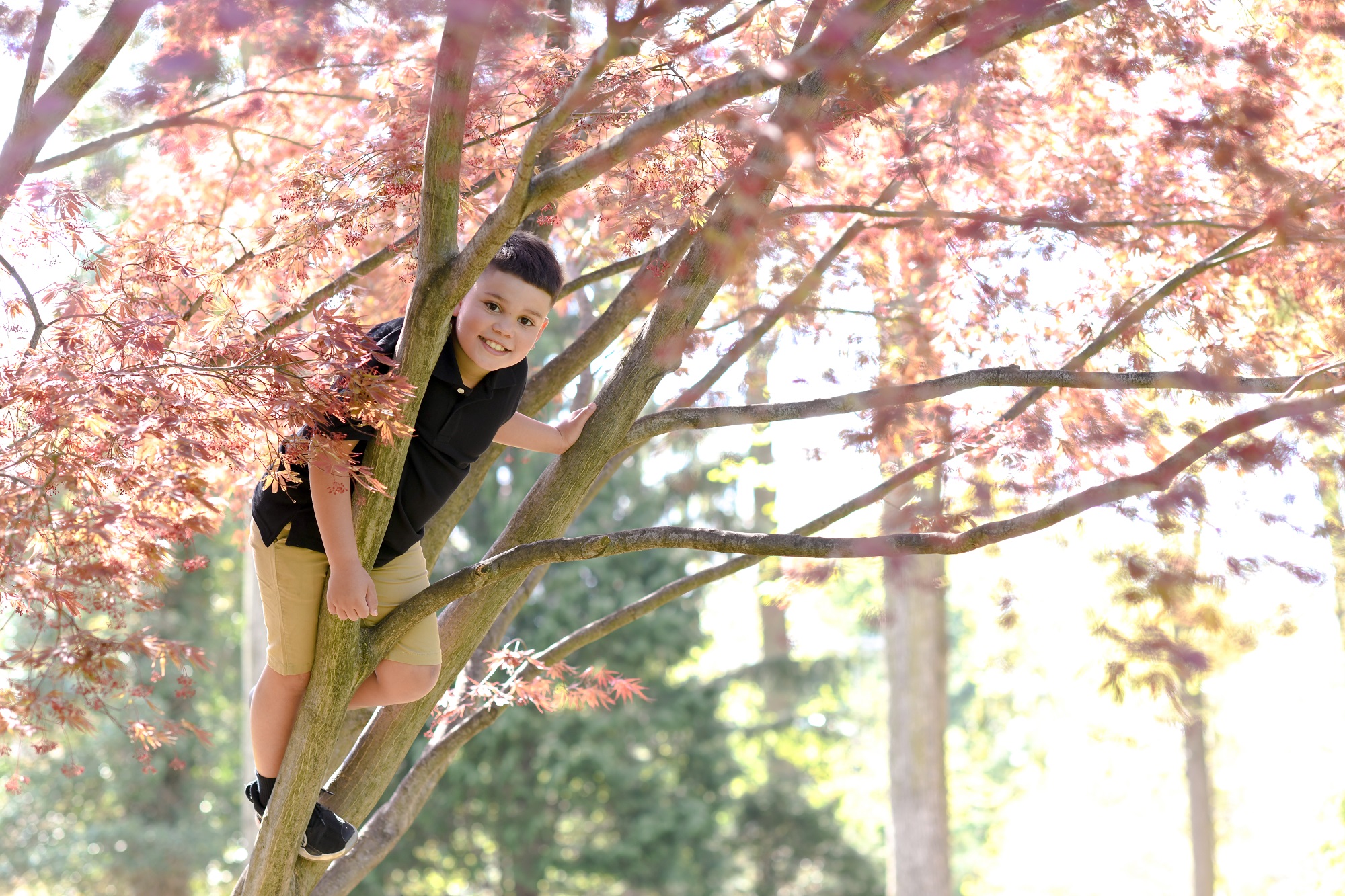 Alex in a tree