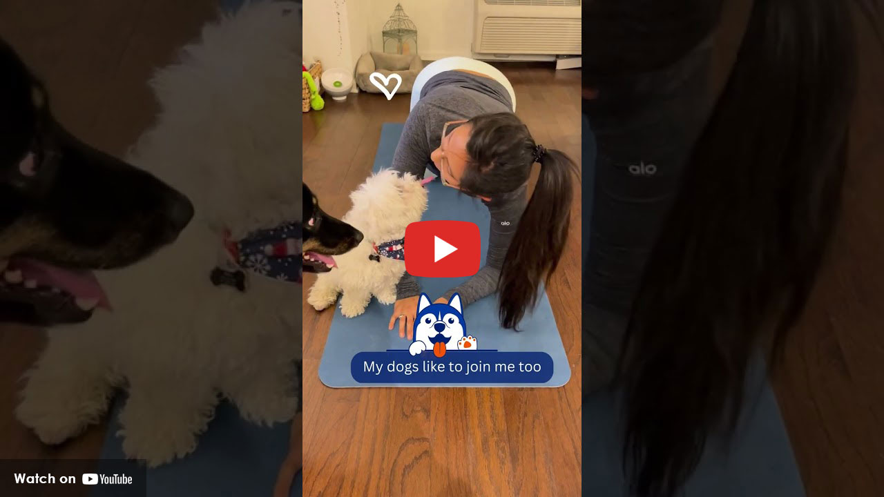 Doctor exercising at home with dogs nearby